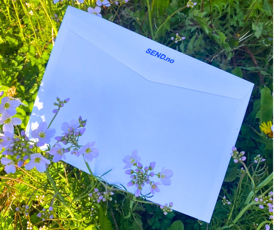 En konvolutt med SEND.no-logo som ligger i en blomstereng